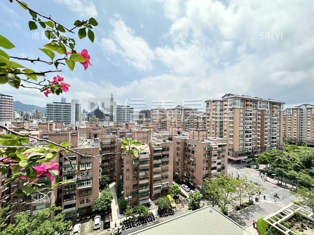 健安新城朝南景觀大戶房屋室內格局與周邊環境