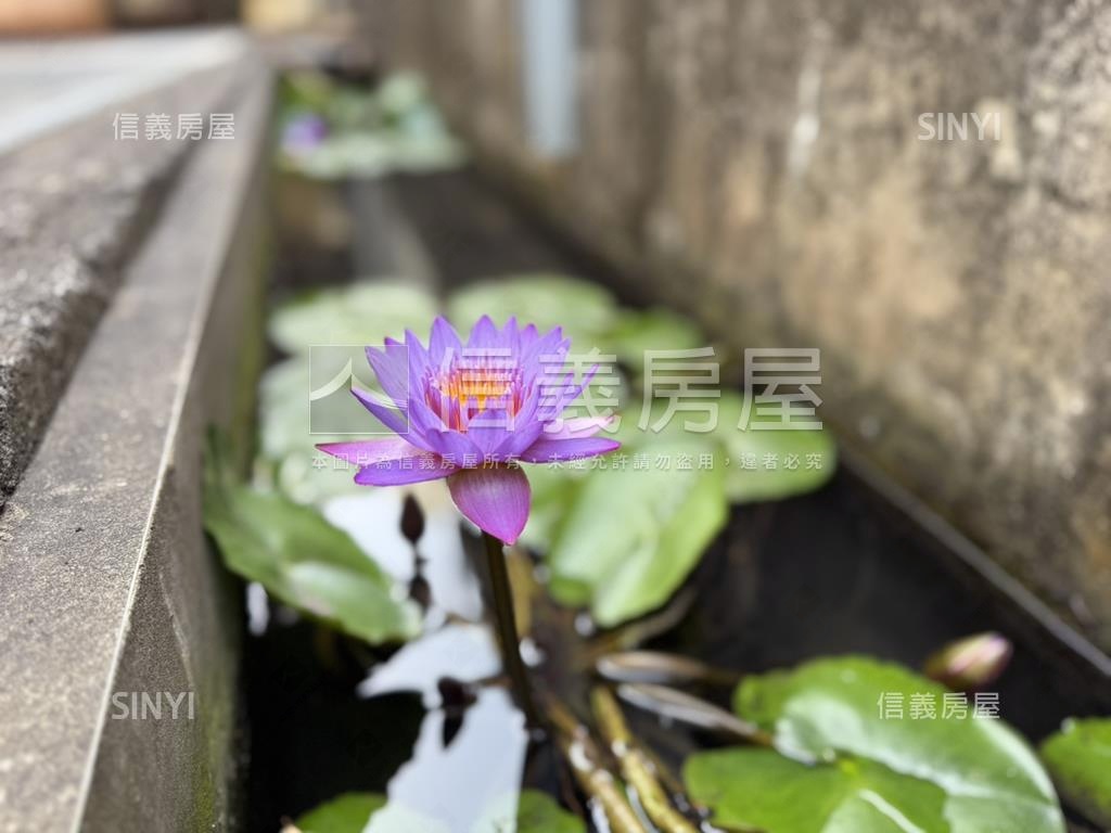 ✩仁武後庄超讚大空間屋✩房屋室內格局與周邊環境