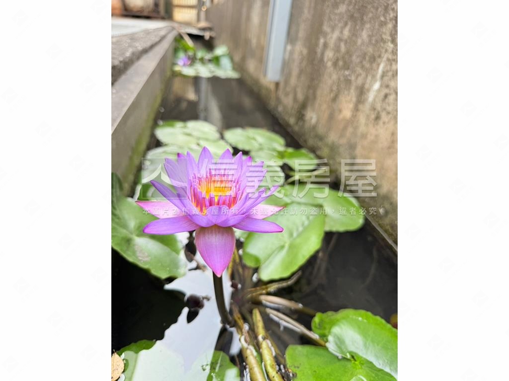 ✩仁武後庄超讚大空間屋✩房屋室內格局與周邊環境