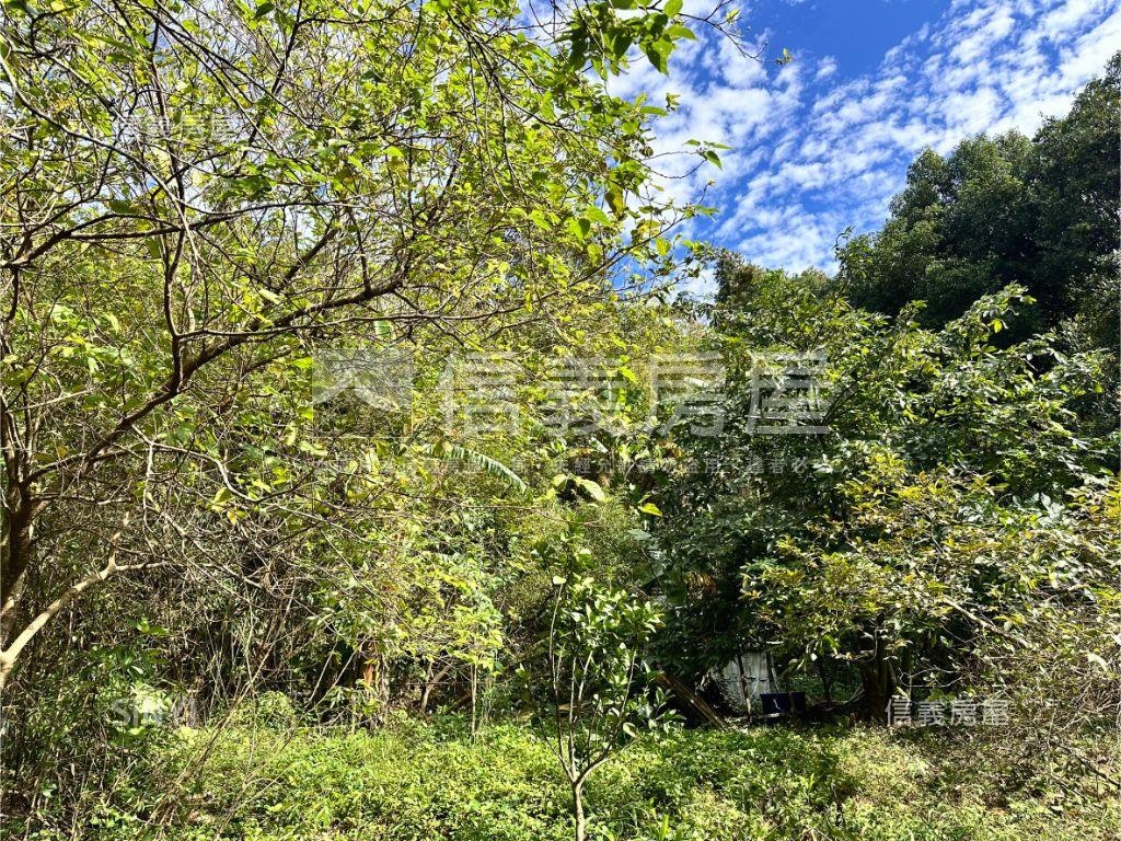 至善路三段馬路旁土地房屋室內格局與周邊環境