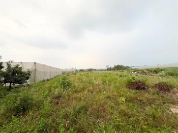 中埔鄉義仁段５６８