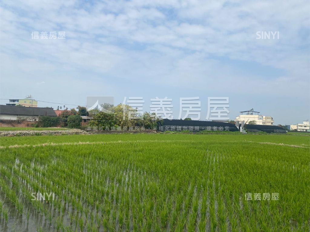 近光明西路優質農地房屋室內格局與周邊環境