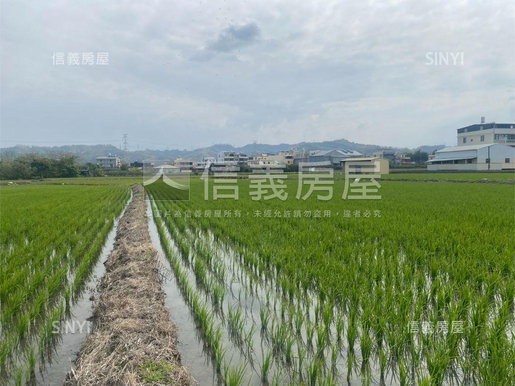 近光明西路優質農地房屋室內格局與周邊環境