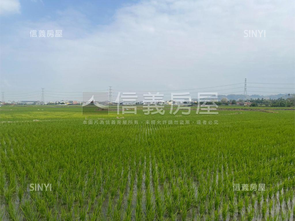 近光明西路優質農地房屋室內格局與周邊環境