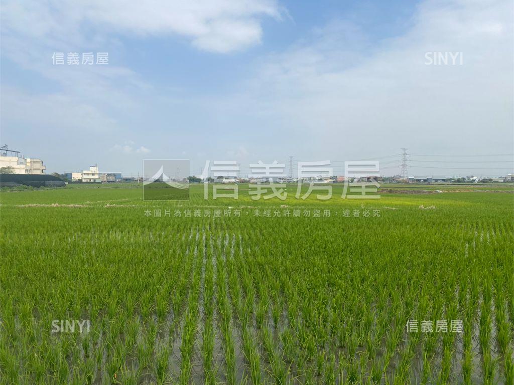 近光明西路優質農地房屋室內格局與周邊環境