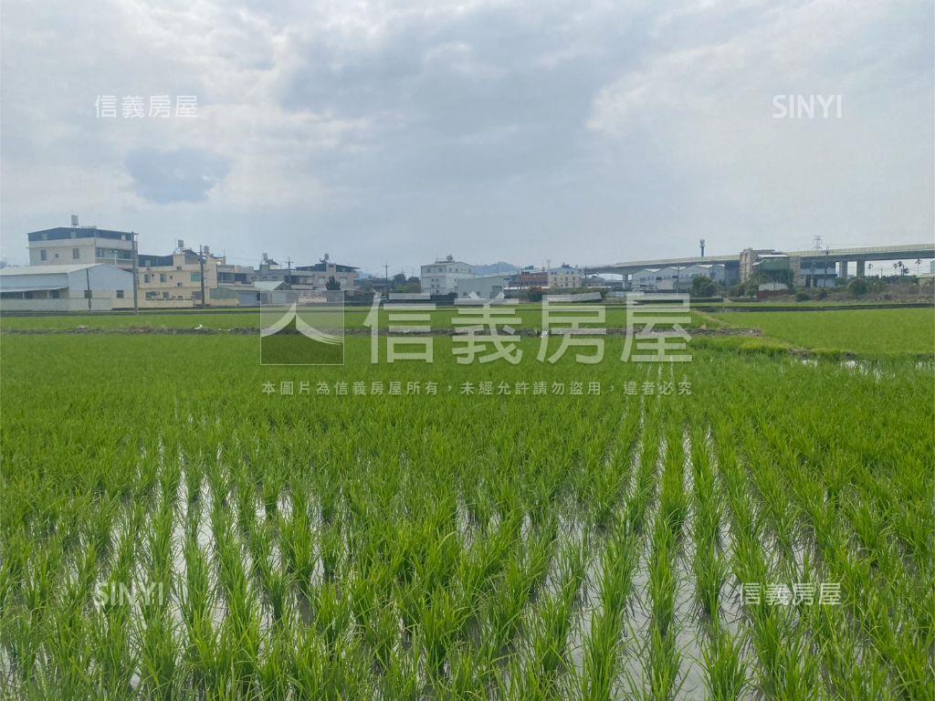 近光明西路優質農地房屋室內格局與周邊環境