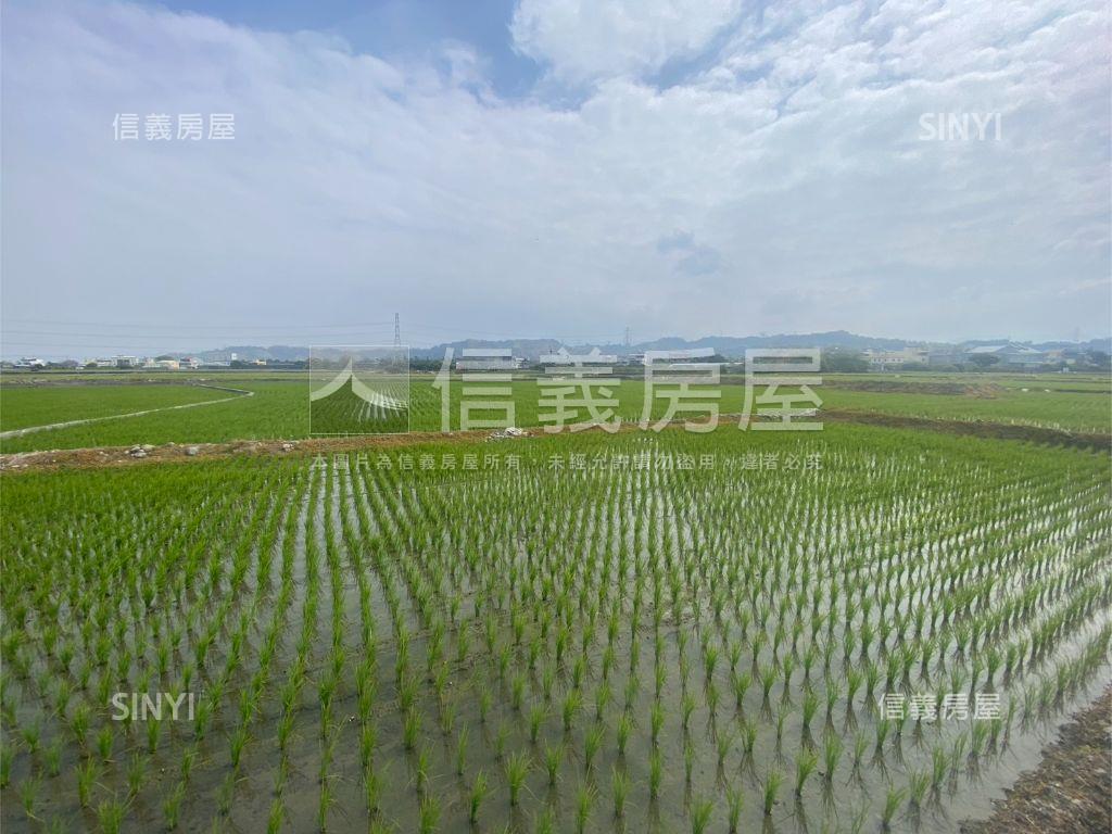 近光明西路優質農地房屋室內格局與周邊環境