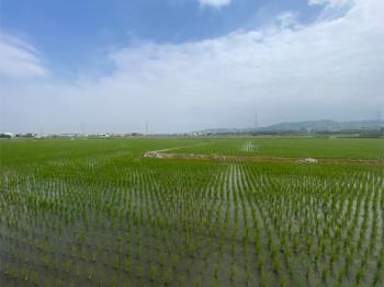 近光明西路優質農地