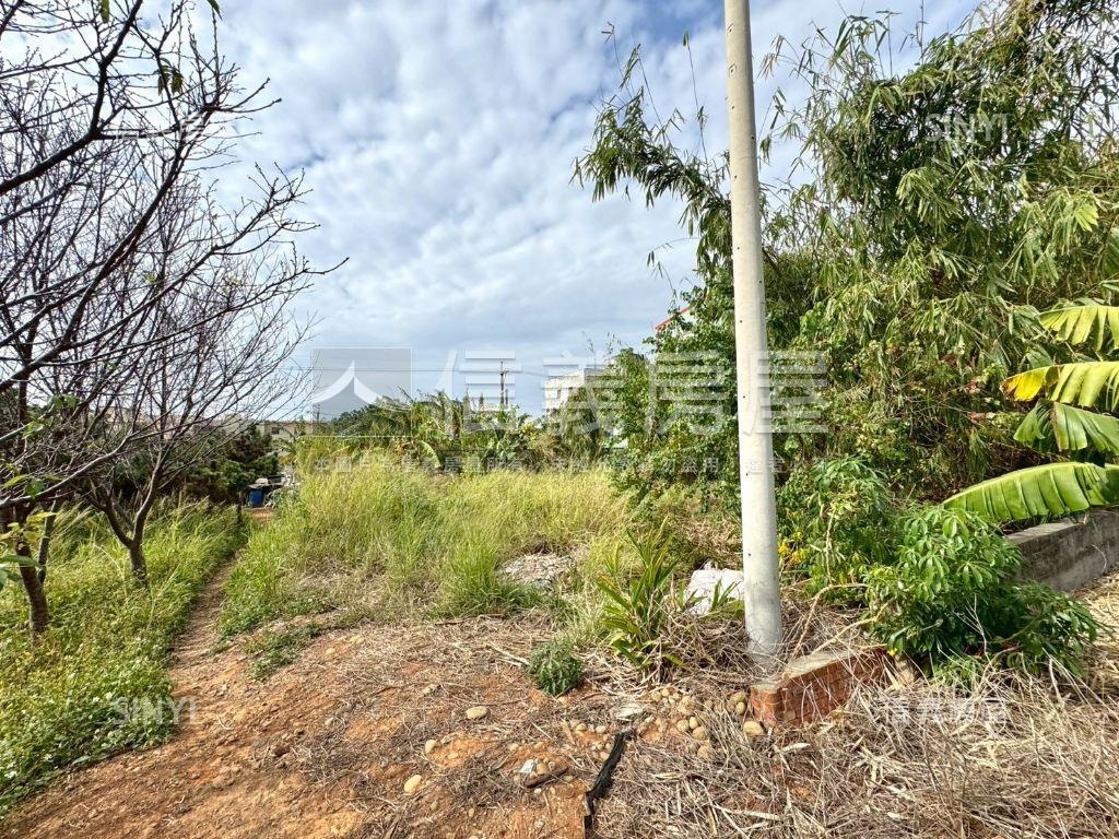 低行情都市計畫百坪農地房屋室內格局與周邊環境