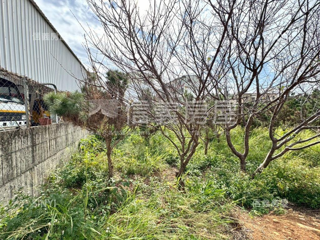 低行情都市計畫百坪農地房屋室內格局與周邊環境