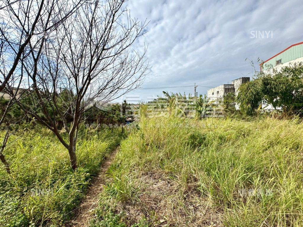 低行情都市計畫百坪農地房屋室內格局與周邊環境