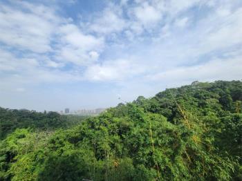 新店景觀邊間採光屋