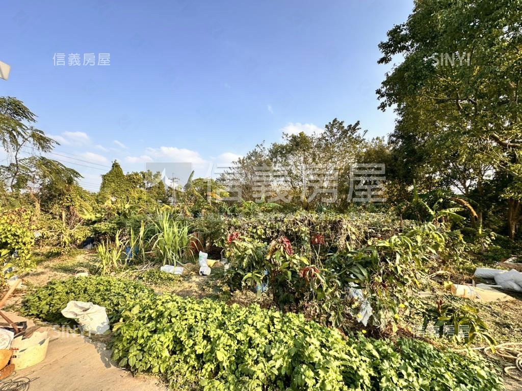 神岡近大雅中清路千坪農地房屋室內格局與周邊環境