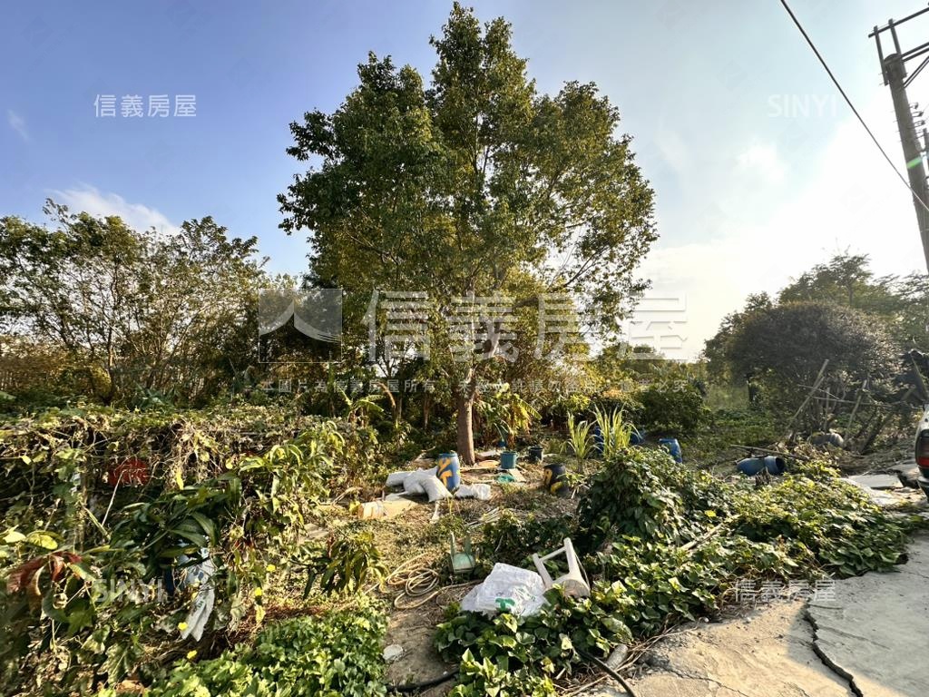 神岡近大雅中清路千坪農地房屋室內格局與周邊環境