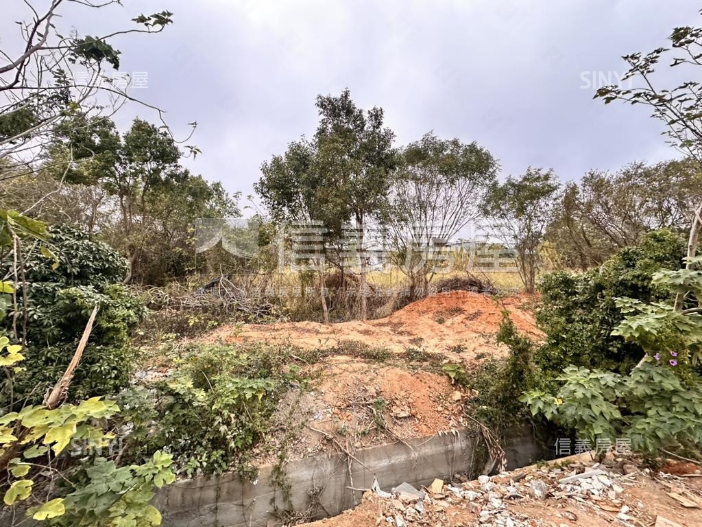 神岡近大雅中清路千坪農地房屋室內格局與周邊環境