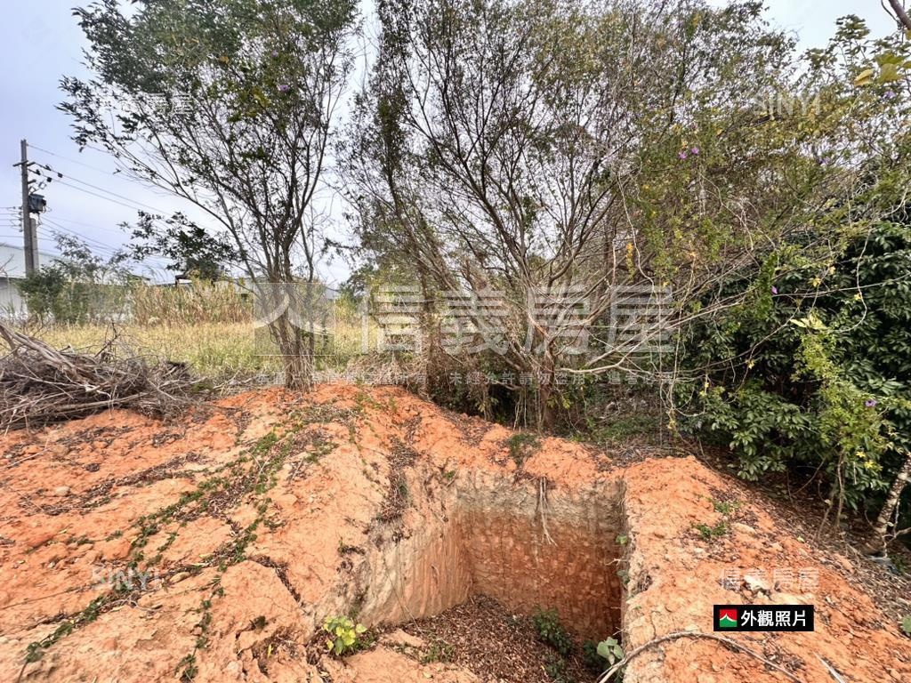神岡近大雅中清路千坪農地房屋室內格局與周邊環境