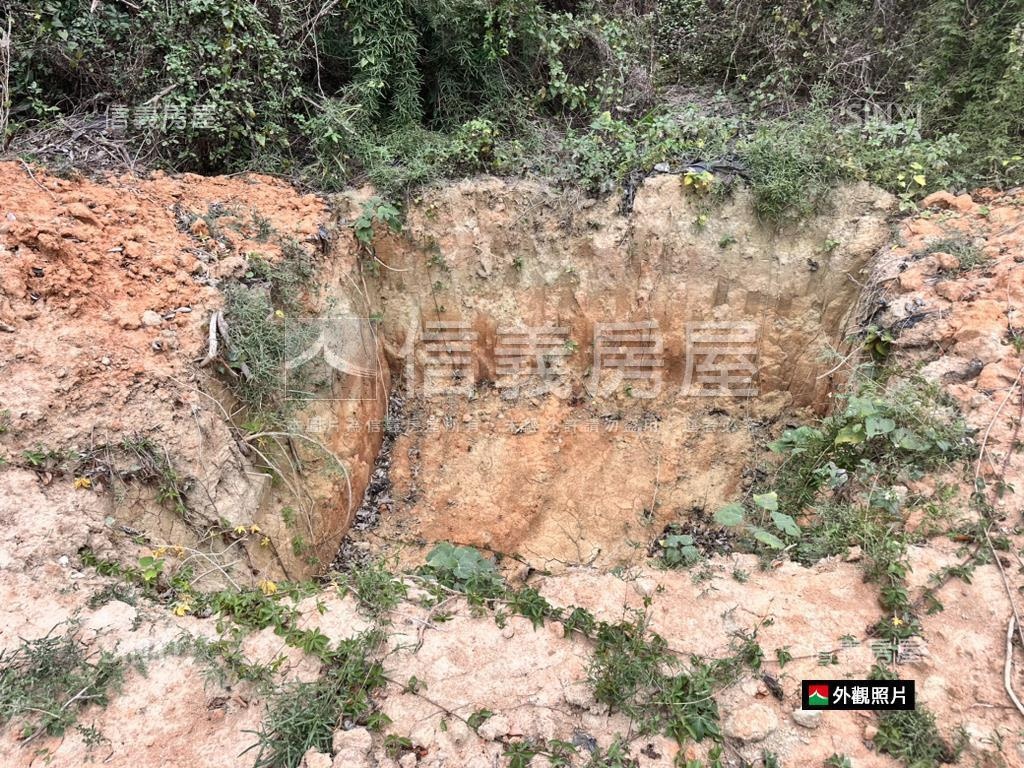 神岡近大雅中清路千坪農地房屋室內格局與周邊環境