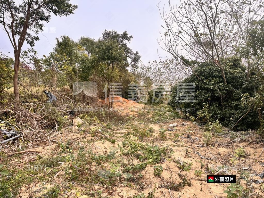 神岡近大雅中清路千坪農地房屋室內格局與周邊環境