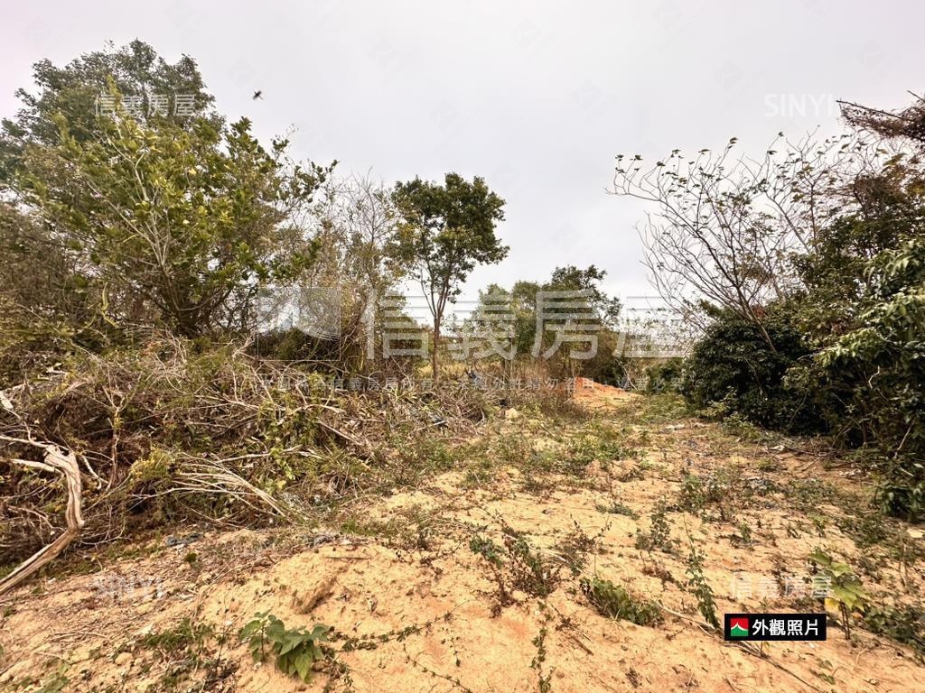 神岡近大雅中清路千坪農地房屋室內格局與周邊環境