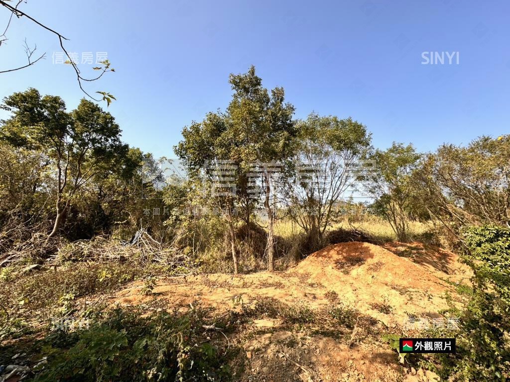 神岡近大雅中清路千坪農地房屋室內格局與周邊環境