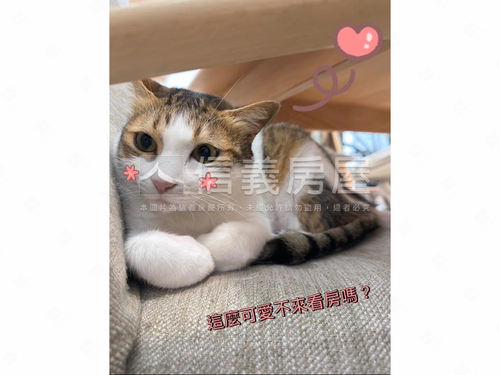 Ａ７超夯學區美裝潢三房房屋室內格局與周邊環境
