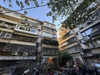 西湖捷運邊間林蔭