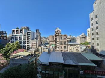 新接採光一房一廳挑高好屋