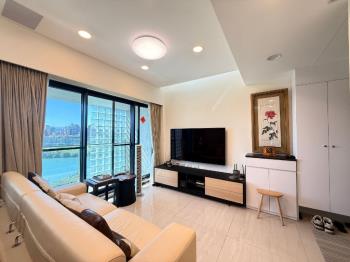 巨流河畔極景森活電梯三房