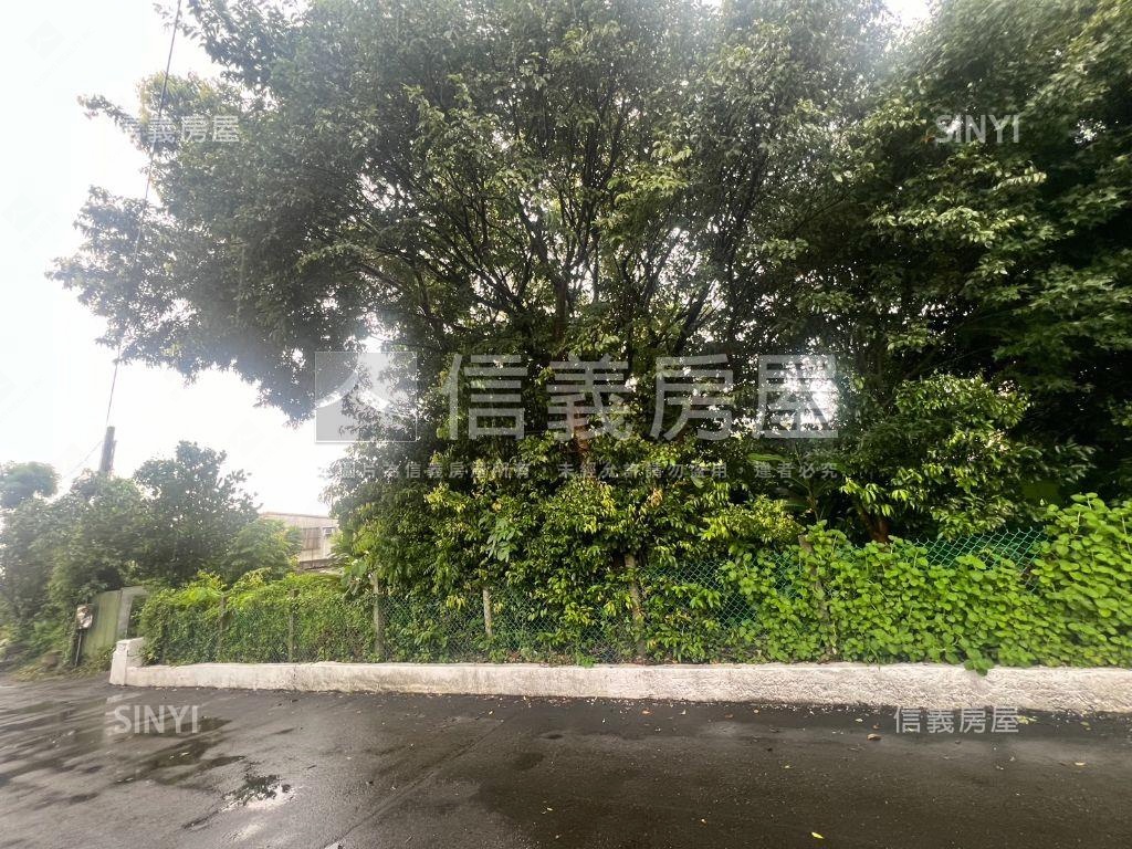 陽明山莊頂路土地房屋室內格局與周邊環境