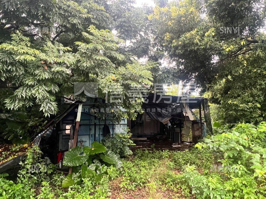 陽明山莊頂路土地房屋室內格局與周邊環境