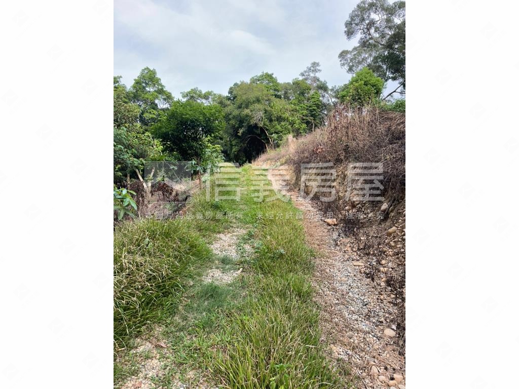 【合法開墾】休閒美地Ａ房屋室內格局與周邊環境