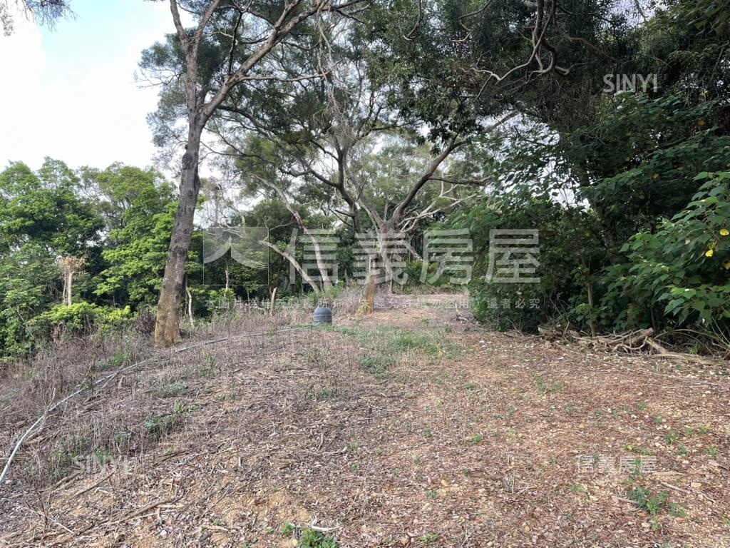 【合法開墾】休閒美地Ａ房屋室內格局與周邊環境