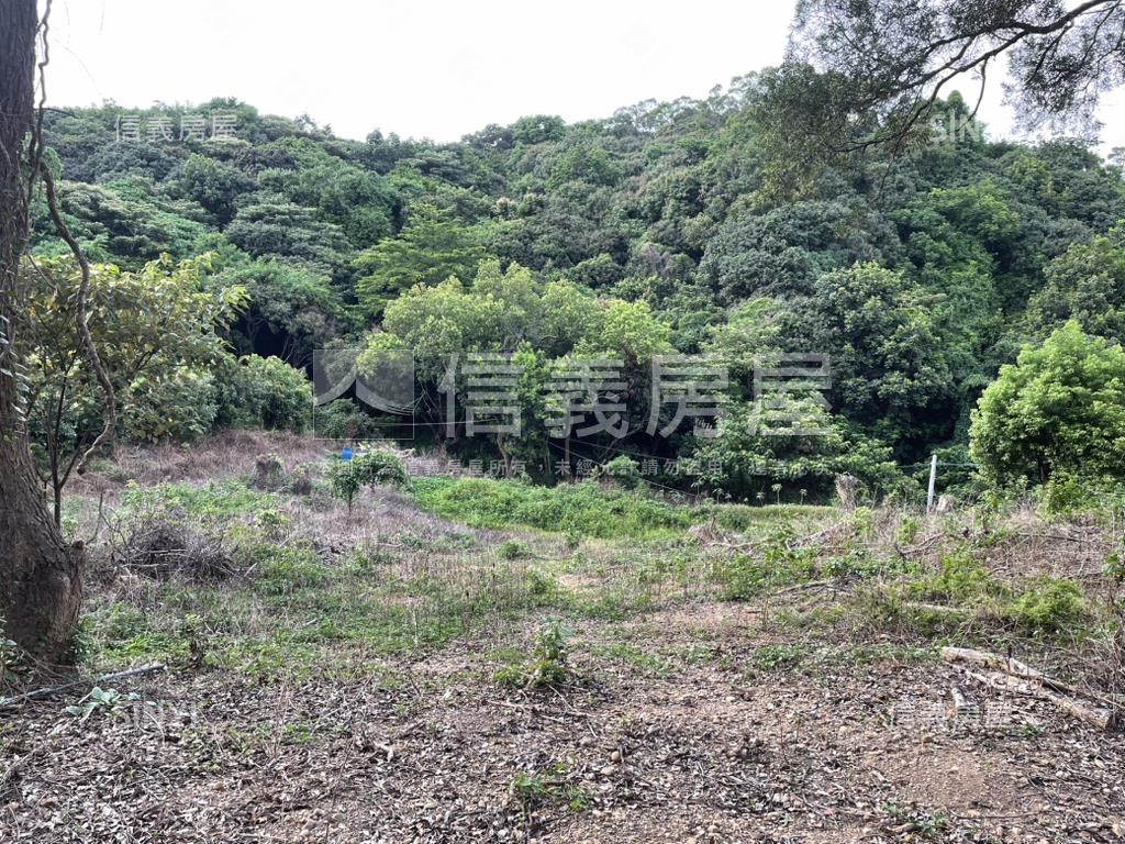 【合法開墾】休閒美地Ａ房屋室內格局與周邊環境
