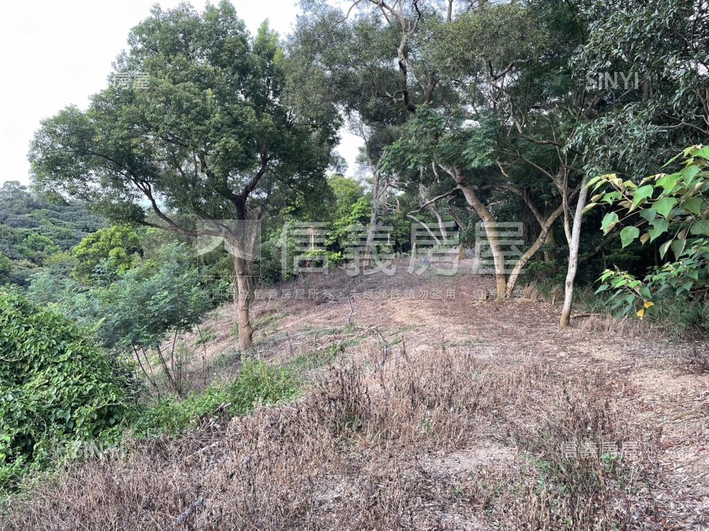 【合法開墾】休閒美地Ａ房屋室內格局與周邊環境