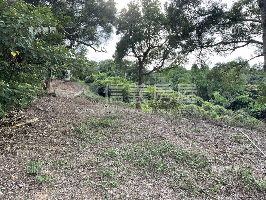 【合法開墾】休閒美地Ａ房屋室內格局與周邊環境
