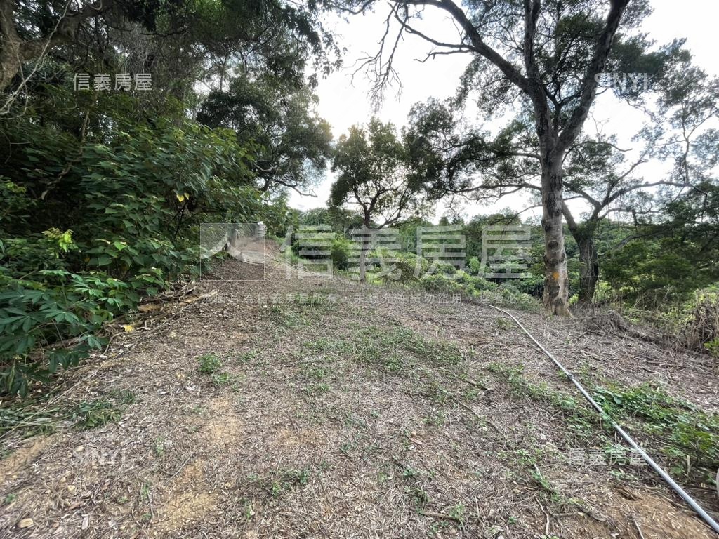 【合法開墾】休閒美地Ａ房屋室內格局與周邊環境