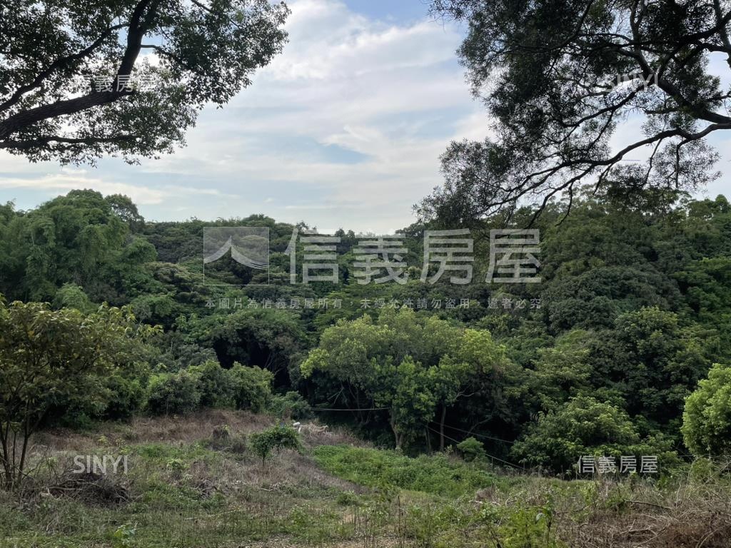 【合法開墾】休閒美地Ａ房屋室內格局與周邊環境