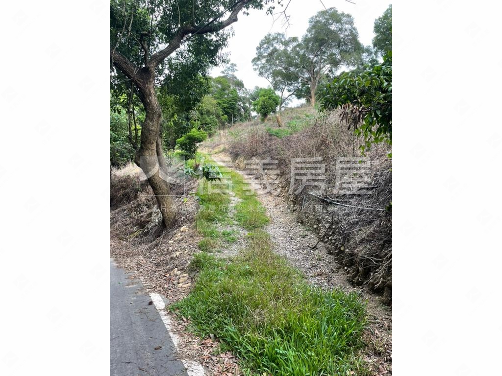 【合法開墾】休閒美地Ａ房屋室內格局與周邊環境