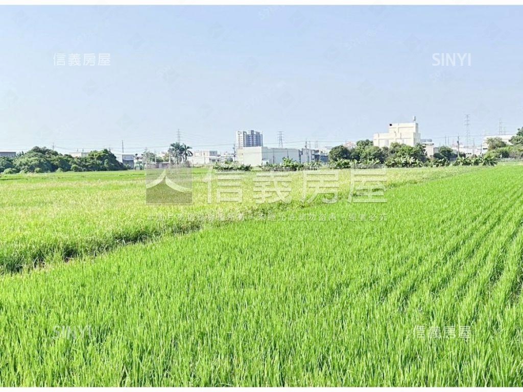 彰化都計內臨路土地可分割房屋室內格局與周邊環境