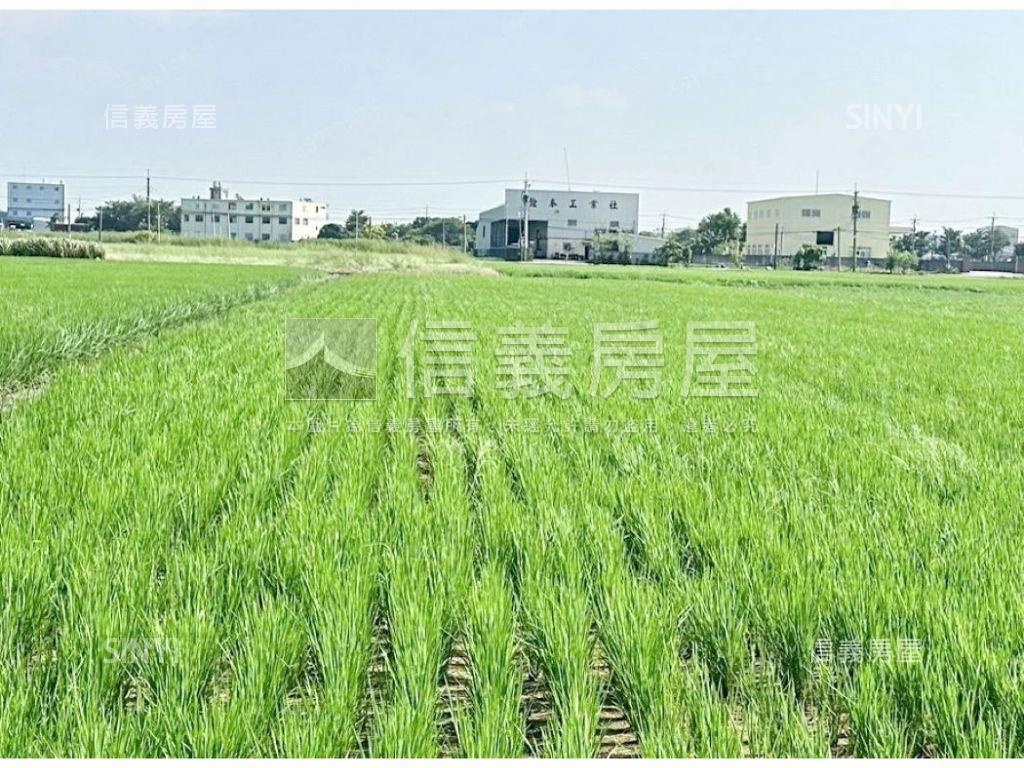 彰化都計內臨路土地可分割房屋室內格局與周邊環境