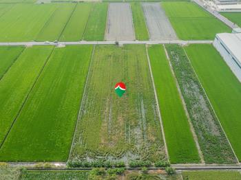 彰化都計內臨路土地可分割