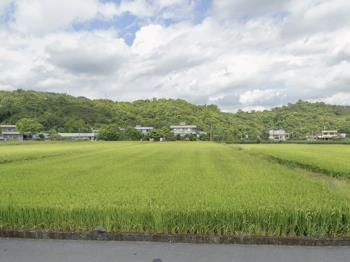 宜蘭三星鄉農地