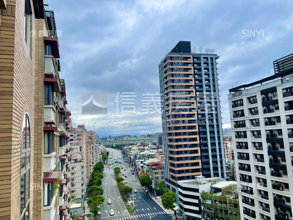 藏峰氣派鋼骨高樓名宅房屋室內格局與周邊環境