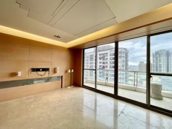 藏峰氣派鋼骨高樓名宅