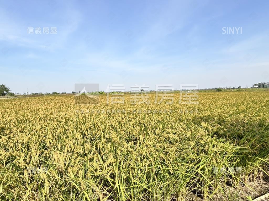 後壁１．６甲傳家農地房屋室內格局與周邊環境