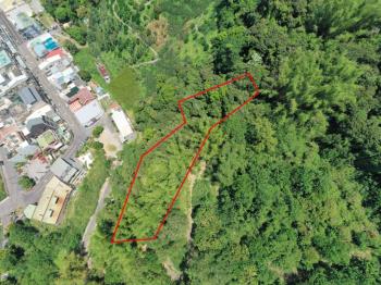 近豐原市種田養雞百坪土地