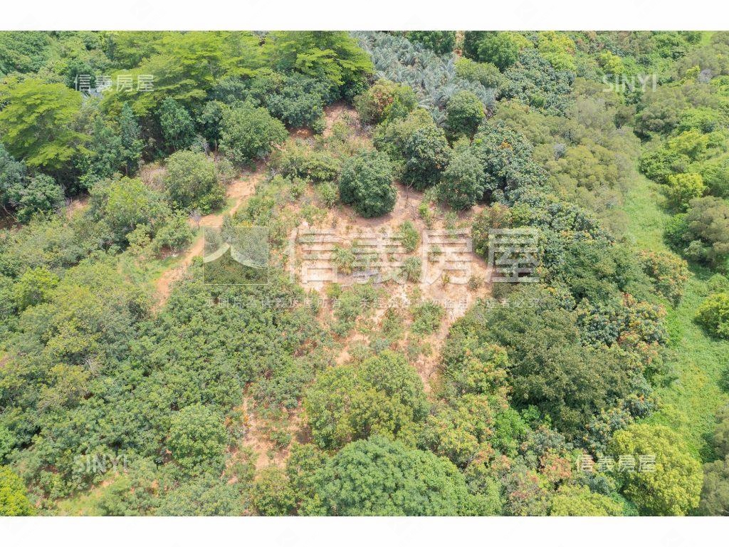 台中精科旁約２０６１坪地房屋室內格局與周邊環境