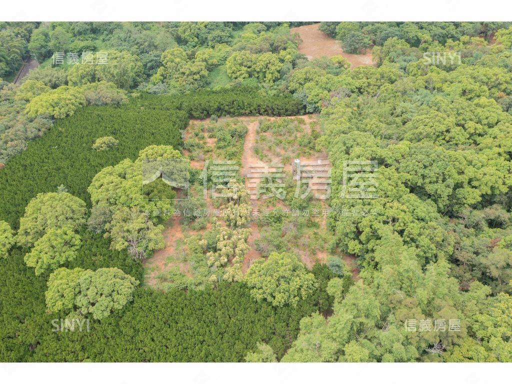 台中精科旁約２０６１坪地房屋室內格局與周邊環境