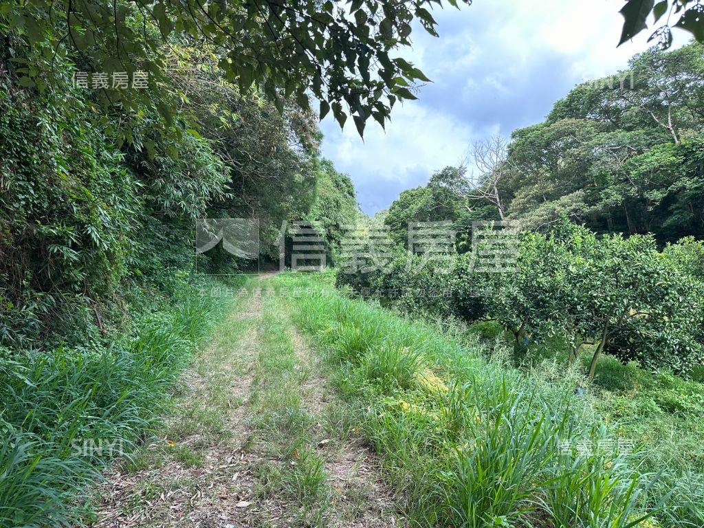 香山海山段農牧用地（大）房屋室內格局與周邊環境