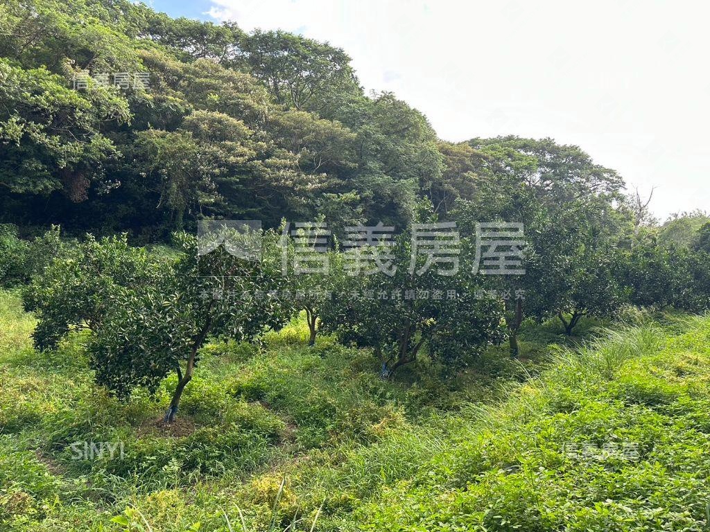 香山海山段農牧用地（大）房屋室內格局與周邊環境